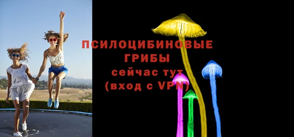 трава Армянск