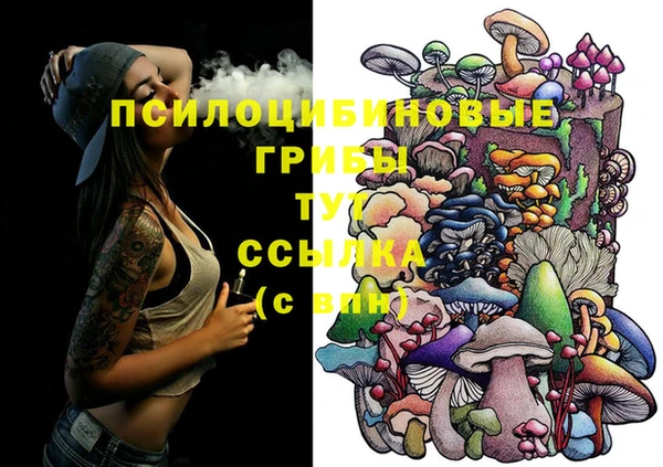 PSILOCYBIN Аркадак