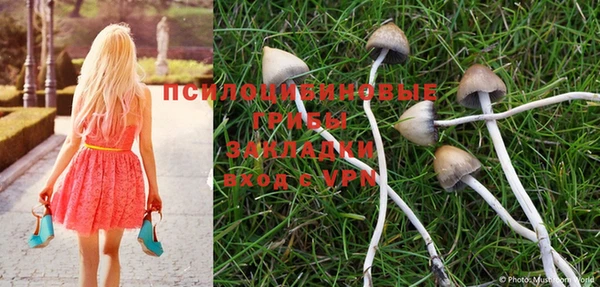 PSILOCYBIN Аркадак