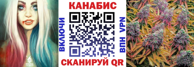 Бошки Шишки Amnesia  Полярные Зори 